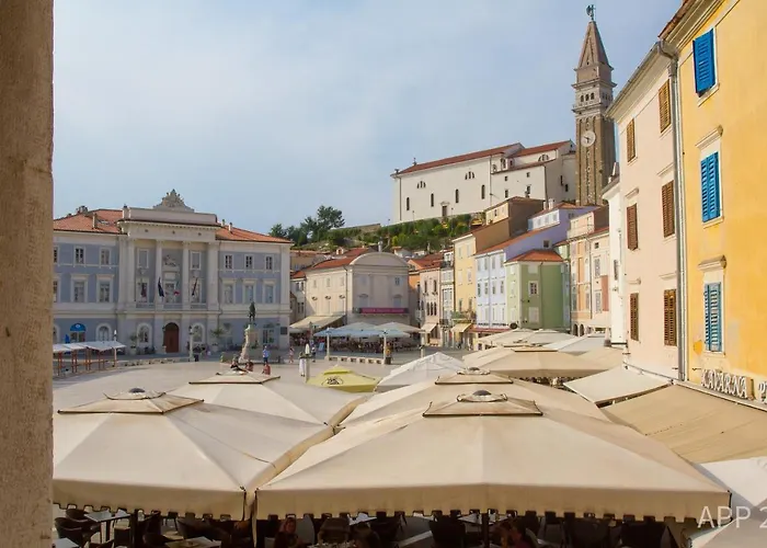 Premium Tartini By Locap Group