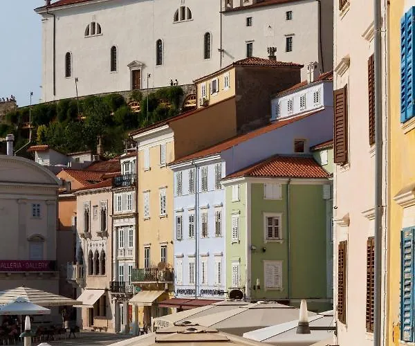 Premium Tartini By Locap Group *